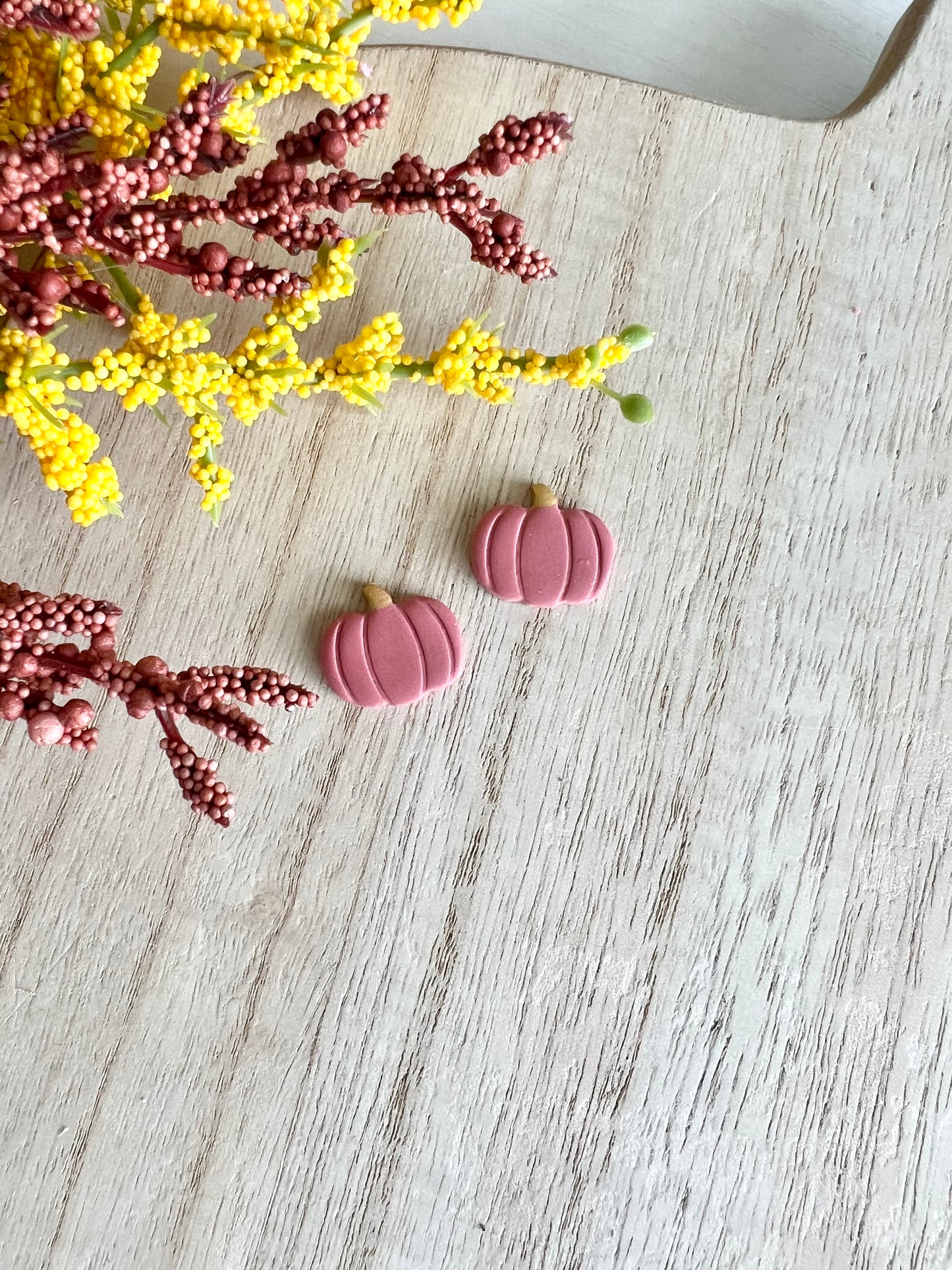 Pumpkin Studs/Dainty Hoops